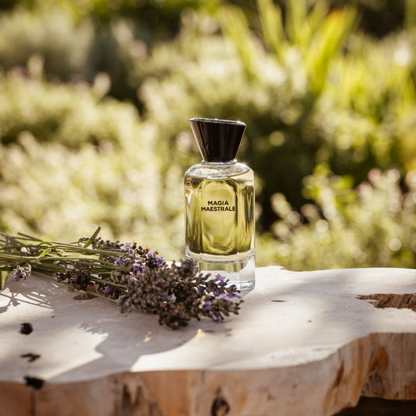 Fabbrica Della Musa: Where Fragrance Becomes Art and Story