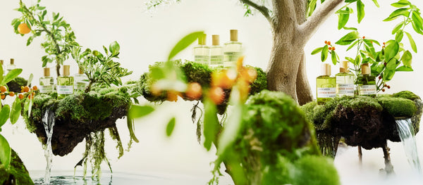 Imaginarium by Liquides Imaginaires - Citrus Reinvented