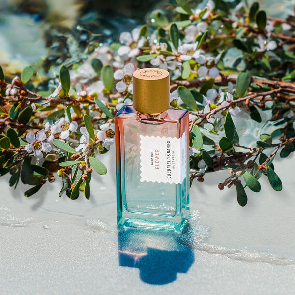 Introducing Pacific Rock Flower: A Coastal Escape in a Bottle