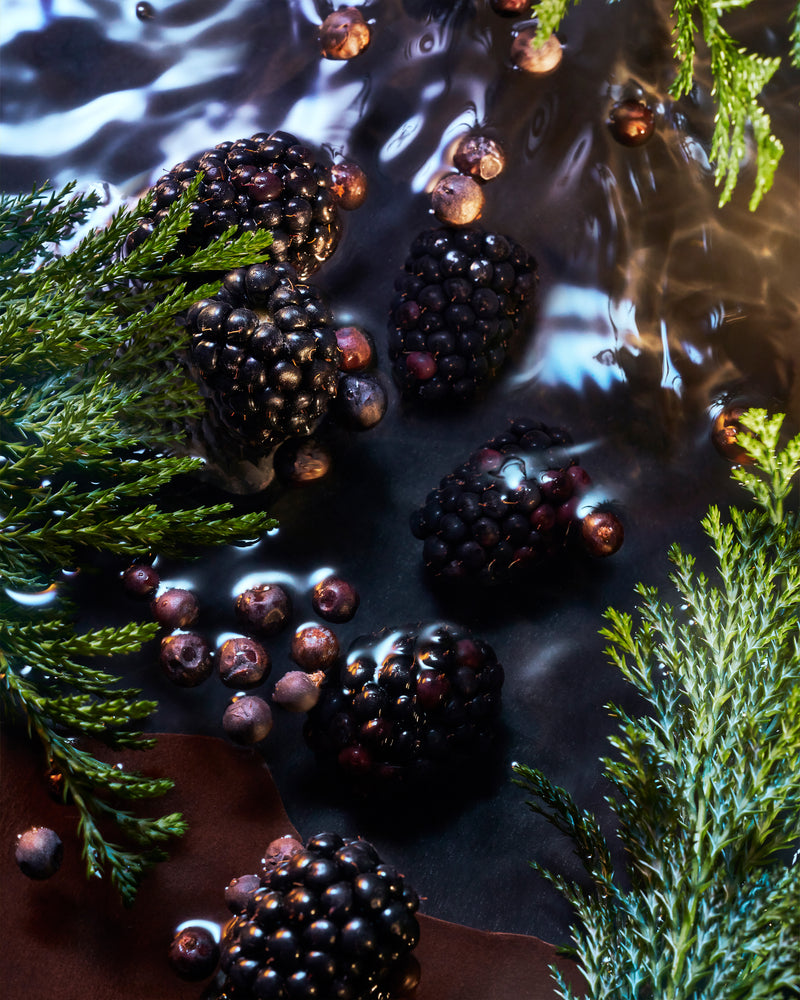 Elysium Noir Pour Homme