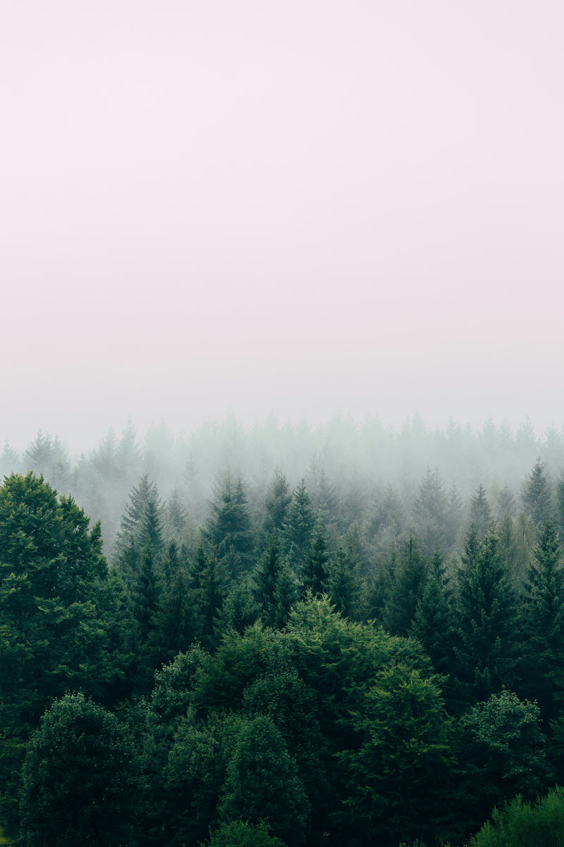 Breathe