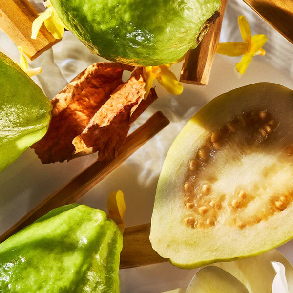 Isola Verde Parfum