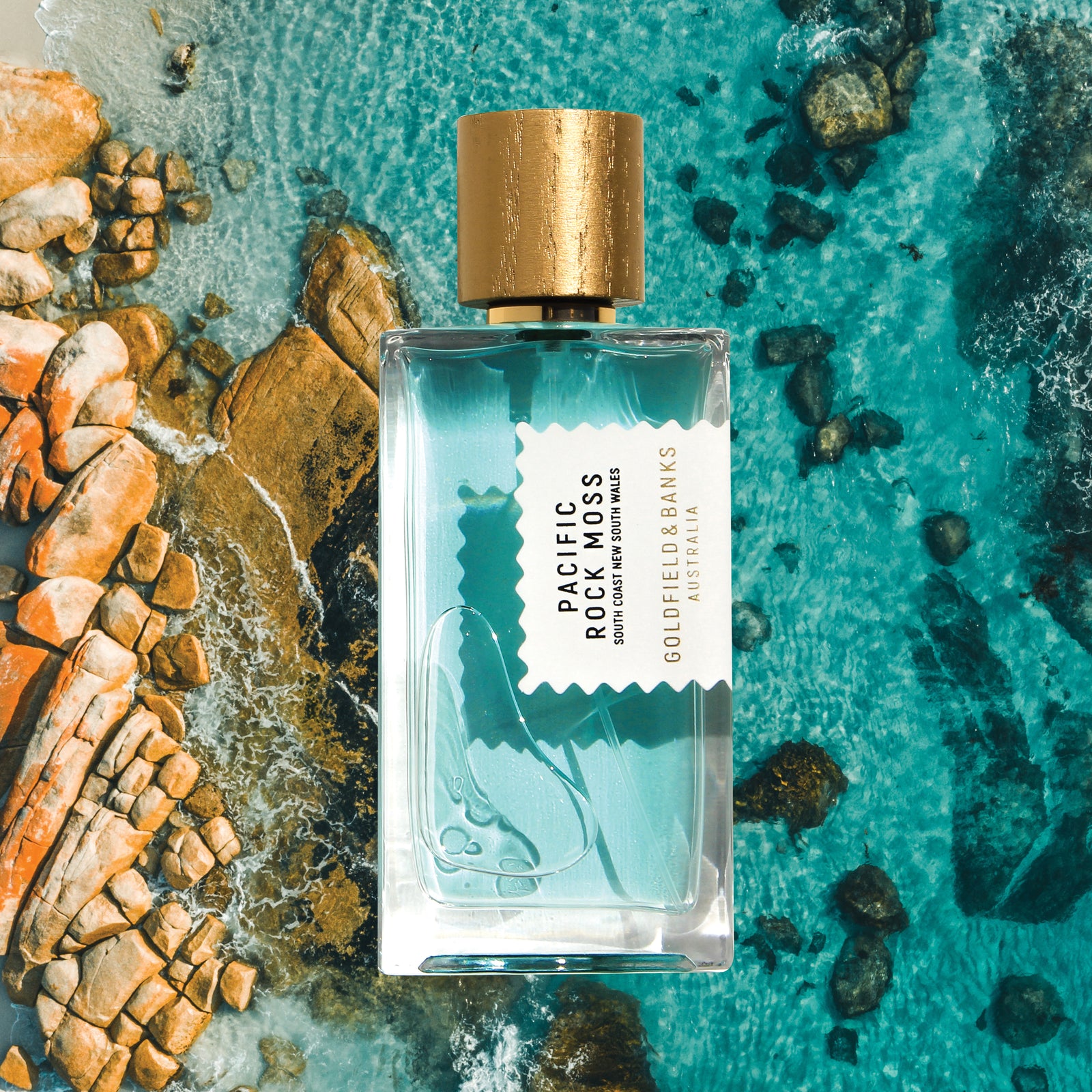 PACIFIC ROCK MOSS 香水 パシフィック ロック モス – NOSE SHOP